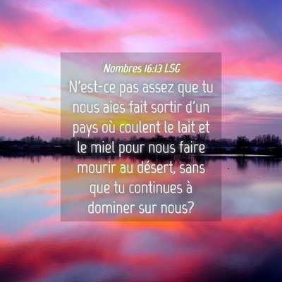Picture 04 - Nombres 16:13 LSG - N'est-ce pas assez que tu nous aies fait sortir - Bible Verse Picture