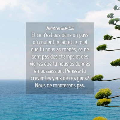 Picture 04 - Nombres 16:14 LSG - Et ce n'est pas dans un pays où coulent le lait - Bible Verse Picture