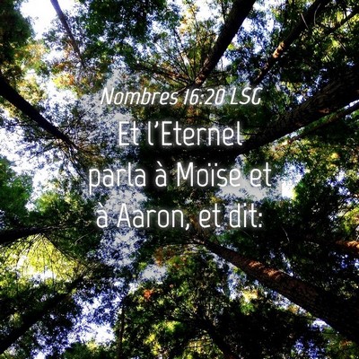 Picture 04 - Nombres 16:20 LSG - Et l'Eternel parla à Moïse et à Aaron, et - Bible Verse Picture