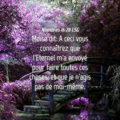 Picture 04 - Nombres 16:28 LSG - Moïse dit: A ceci vous connaîtrez que l'Eternel - Bible Verse Picture