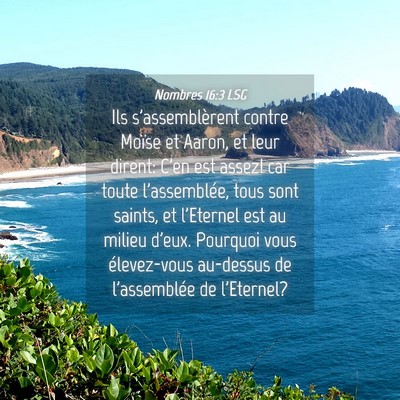Picture 04 - Nombres 16:3 LSG - Ils s'assemblèrent contre Moïse et Aaron, et - Bible Verse Picture