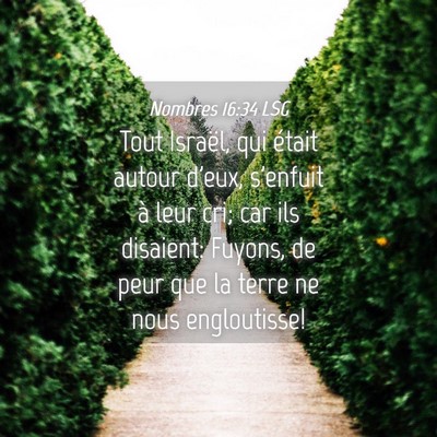 Picture 04 - Nombres 16:34 LSG - Tout Israël, qui était autour d'eux, s'enfuit - Bible Verse Picture
