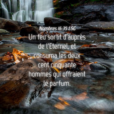 Picture 04 - Nombres 16:35 LSG - Un feu sortit d'auprès de l'Eternel, et consuma - Bible Verse Picture