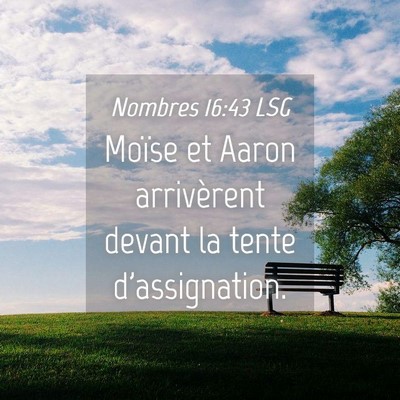 Picture 04 - Nombres 16:43 LSG - Moïse et Aaron arrivèrent devant la tente - Bible Verse Picture