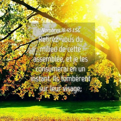 Picture 04 - Nombres 16:45 LSG - Retirez-vous du milieu de cette assemblée, et je - Bible Verse Picture