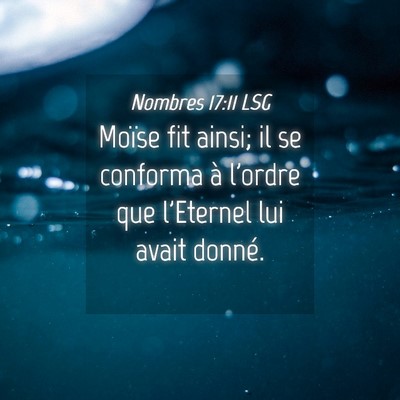 Picture 04 - Nombres 17:11 LSG - Moïse fit ainsi; il se conforma à l'ordre que - Bible Verse Picture