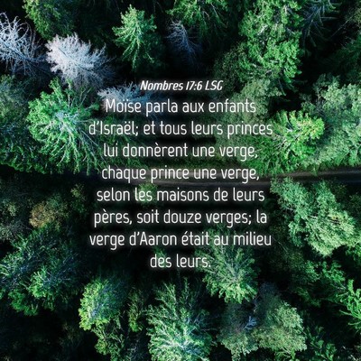 Picture 04 - Nombres 17:6 LSG - Moïse parla aux enfants d'Israël; et tous leurs - Bible Verse Picture