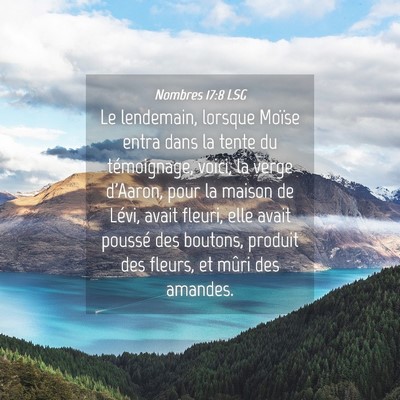 Picture 04 - Nombres 17:8 LSG - Le lendemain, lorsque Moïse entra dans la tente - Bible Verse Picture