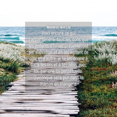 Picture 04 - Nombres 18:11 LSG - Voici encore ce qui t'appartiendra: tous les dons - Bible Verse Picture