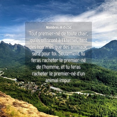 Picture 04 - Nombres 18:15 LSG - Tout premier-né de toute chair, qu'ils offriront - Bible Verse Picture