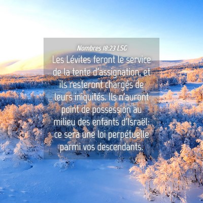 Picture 04 - Nombres 18:23 LSG - Les Lévites feront le service de la tente - Bible Verse Picture