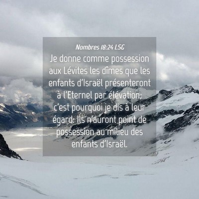Picture 04 - Nombres 18:24 LSG - Je donne comme possession aux Lévites les dîmes - Bible Verse Picture