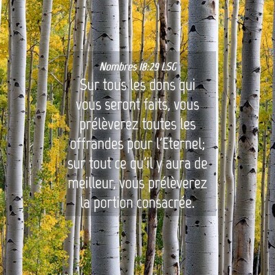 Picture 04 - Nombres 18:29 LSG - Sur tous les dons qui vous seront faits, vous - Bible Verse Picture