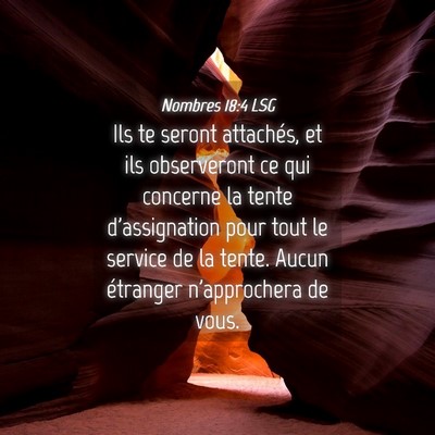Picture 04 - Nombres 18:4 LSG - Ils te seront attachés, et ils observeront ce - Bible Verse Picture