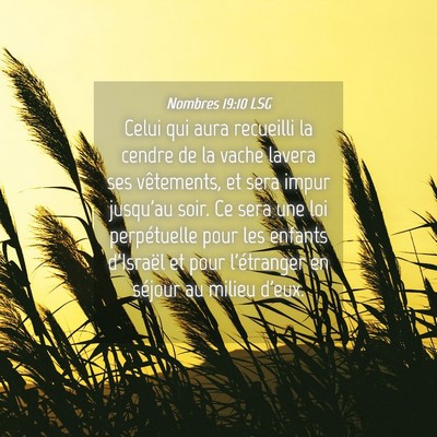Picture 04 - Nombres 19:10 LSG - Celui qui aura recueilli la cendre de la vache - Bible Verse Picture