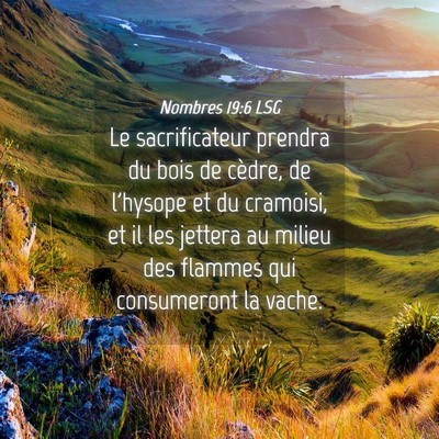 Picture 04 - Nombres 19:6 LSG - Le sacrificateur prendra du bois de cèdre, de - Bible Verse Picture