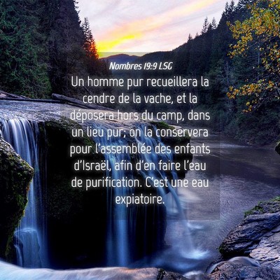 Picture 04 - Nombres 19:9 LSG - Un homme pur recueillera la cendre de la vache, - Bible Verse Picture