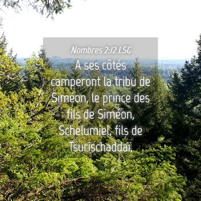 Picture 04 - Nombres 2:12 LSG - A ses côtés camperont la tribu de Siméon, le - Bible Verse Picture