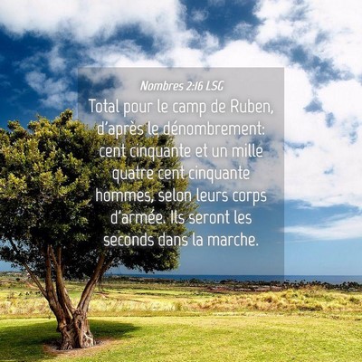 Picture 04 - Nombres 2:16 LSG - Total pour le camp de Ruben, d'après le - Bible Verse Picture