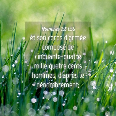 Picture 04 - Nombres 2:6 LSG - et son corps d'armée composé de - Bible Verse Picture