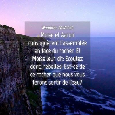 Picture 04 - Nombres 20:10 LSG - Moïse et Aaron convoquèrent l'assemblée en - Bible Verse Picture