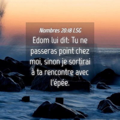 Picture 04 - Nombres 20:18 LSG - Edom lui dit: Tu ne passeras point chez moi, - Bible Verse Picture