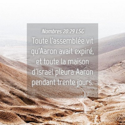 Picture 04 - Nombres 20:29 LSG - Toute l'assemblée vit qu'Aaron avait expiré, et - Bible Verse Picture