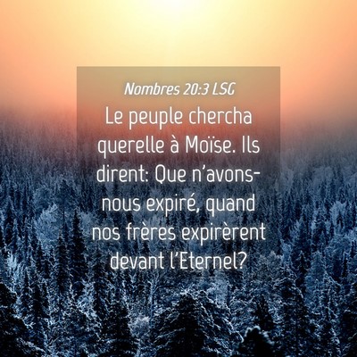 Picture 04 - Nombres 20:3 LSG - Le peuple chercha querelle à Moïse. Ils dirent: - Bible Verse Picture