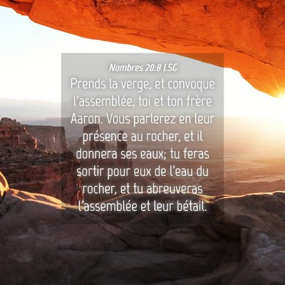 Picture 04 - Nombres 20:8 LSG - Prends la verge, et convoque l'assemblée, toi et - Bible Verse Picture