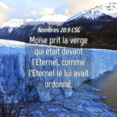 Picture 04 - Nombres 20:9 LSG - Moïse prit la verge qui était devant l'Eternel, - Bible Verse Picture