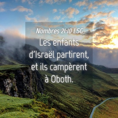 Picture 04 - Nombres 21:10 LSG - Les enfants d'Israël partirent, et ils - Bible Verse Picture