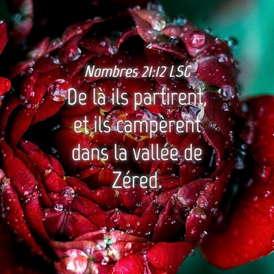 Picture 04 - Nombres 21:12 LSG - De là ils partirent, et ils campèrent dans la - Bible Verse Picture
