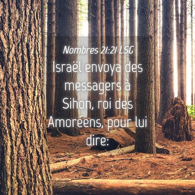 Picture 04 - Nombres 21:21 LSG - Israël envoya des messagers à Sihon, roi des - Bible Verse Picture