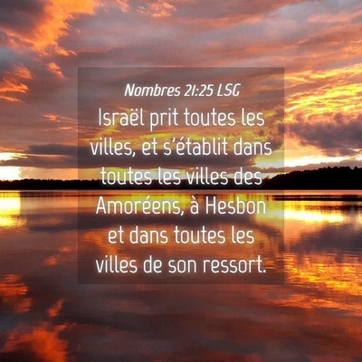 Picture 04 - Nombres 21:25 LSG - Israël prit toutes les villes, et s'établit - Bible Verse Picture