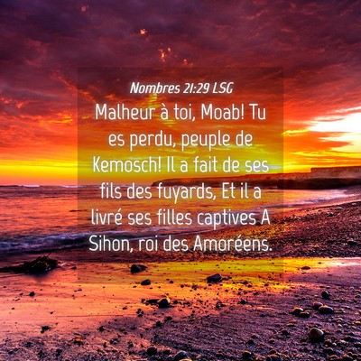 Picture 04 - Nombres 21:29 LSG - Malheur à toi, Moab! Tu es perdu, peuple de - Bible Verse Picture