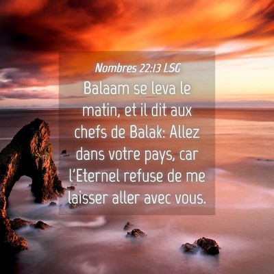 Picture 04 - Nombres 22:13 LSG - Balaam se leva le matin, et il dit aux chefs de - Bible Verse Picture