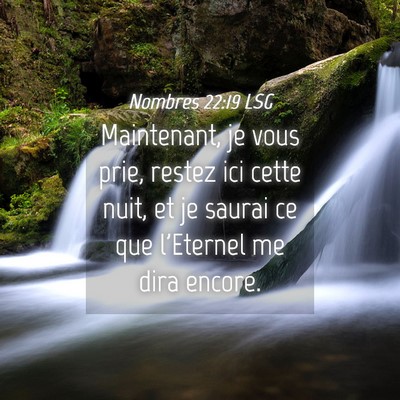 Picture 04 - Nombres 22:19 LSG - Maintenant, je vous prie, restez ici cette nuit, - Bible Verse Picture