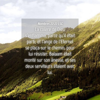 Picture 04 - Nombres 22:22 LSG - La colère de Dieu s'enflamma, parce qu'il était - Bible Verse Picture