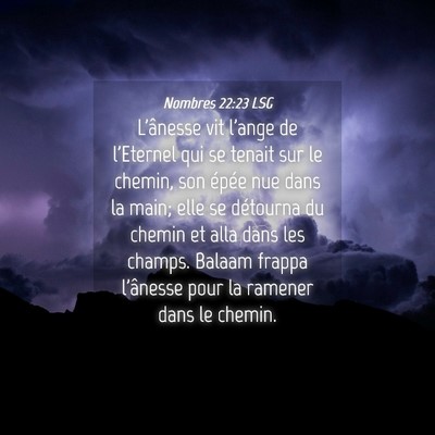 Picture 04 - Nombres 22:23 LSG - L'ânesse vit l'ange de l'Eternel qui se tenait - Bible Verse Picture