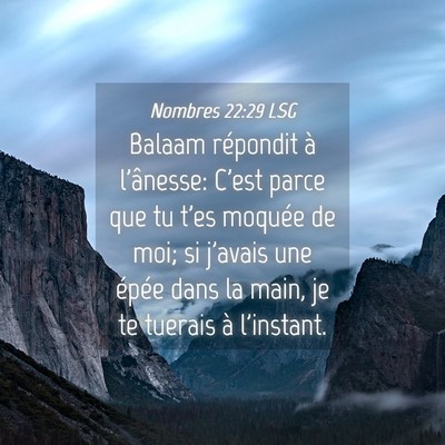 Picture 04 - Nombres 22:29 LSG - Balaam répondit à l'ânesse: C'est parce que tu - Bible Verse Picture