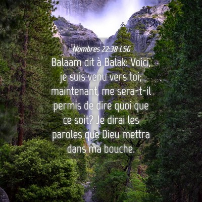 Picture 04 - Nombres 22:38 LSG - Balaam dit à Balak: Voici, je suis venu vers - Bible Verse Picture