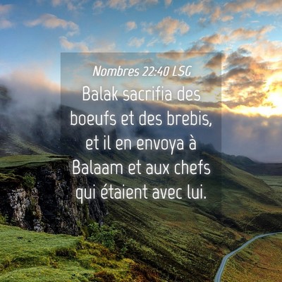 Picture 04 - Nombres 22:40 LSG - Balak sacrifia des boeufs et des brebis, et il en - Bible Verse Picture