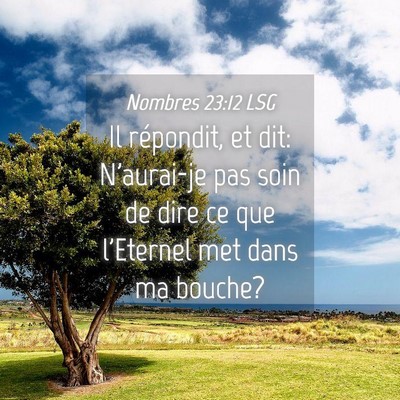 Picture 04 - Nombres 23:12 LSG - Il répondit, et dit: N'aurai-je pas soin de dire - Bible Verse Picture
