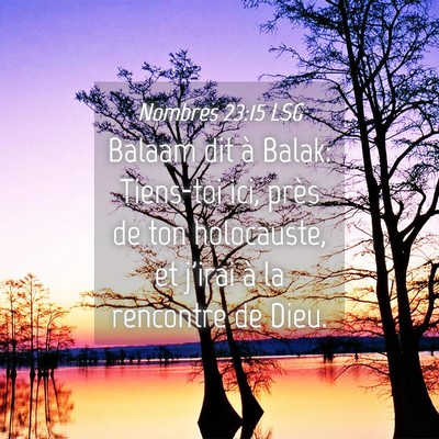 Picture 04 - Nombres 23:15 LSG - Balaam dit à Balak: Tiens-toi ici, près de ton - Bible Verse Picture