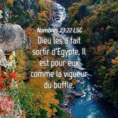 Picture 04 - Nombres 23:22 LSG - Dieu les a fait sortir d'Egypte, Il est pour eux - Bible Verse Picture