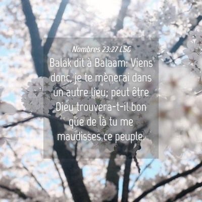 Picture 04 - Nombres 23:27 LSG - Balak dit à Balaam: Viens donc, je te mènerai - Bible Verse Picture