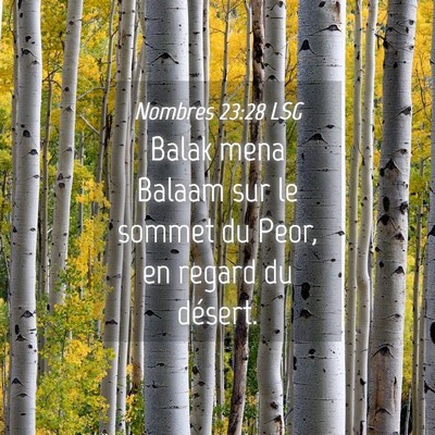Picture 04 - Nombres 23:28 LSG - Balak mena Balaam sur le sommet du Peor, en - Bible Verse Picture
