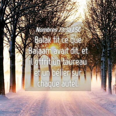 Picture 04 - Nombres 23:30 LSG - Balak fit ce que Balaam avait dit, et il offrit - Bible Verse Picture