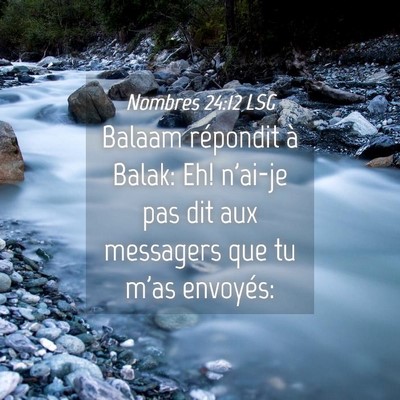 Picture 04 - Nombres 24:12 LSG - Balaam répondit à Balak: Eh! n'ai-je pas dit - Bible Verse Picture