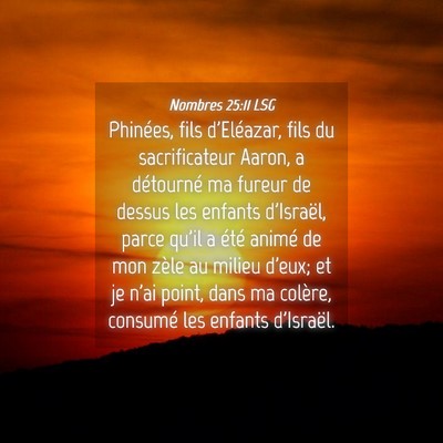 Picture 04 - Nombres 25:11 LSG - Phinées, fils d'Eléazar, fils du sacrificateur - Bible Verse Picture
